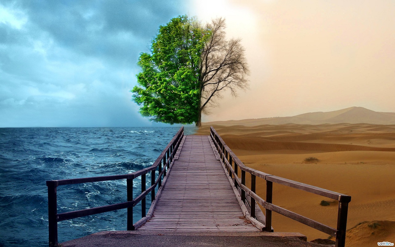 What happens after death in Islam?